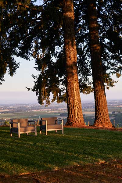 Photo of Willamette Valley Winery outdoor seating on the lawn, overlooking Dundee.