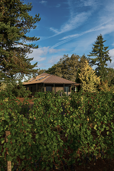 Prince Hill Vineyards | Image of Single Vineyard Pinot Noir estate.